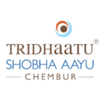 4 Star Electrical Logo (5)